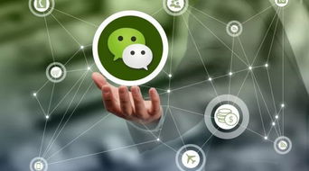 微信上千萬別做的危險(xiǎn)行為，三言兩語就可能送你坐牢
